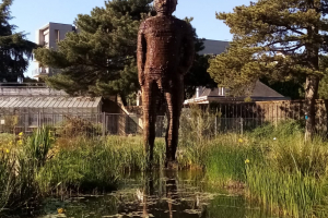 WhatsApp-Image-2026-04-29-at-11.49.56