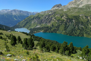 paysage_10