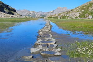 paysage_4