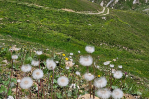 paysage_5